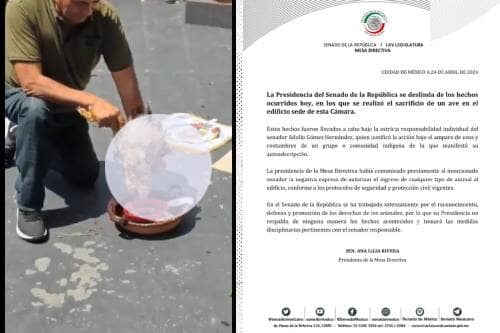 Video: Aterrador; Senador de Morena realiza sacrifico de animal en patio del Senado Mexicano